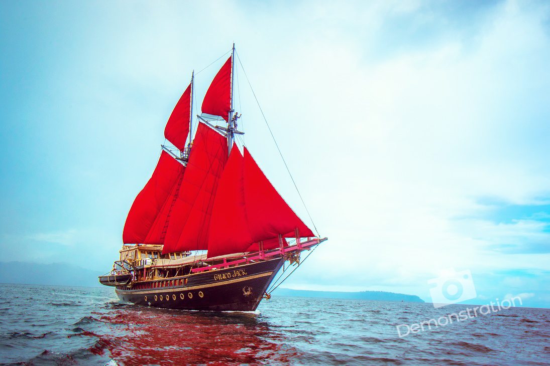 Liveaboard 2 (4)